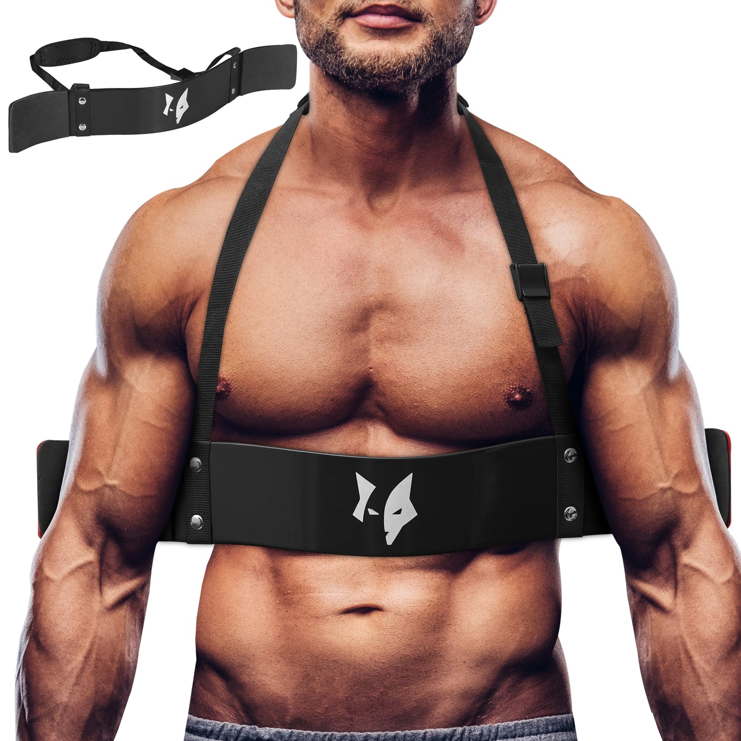 PFX Sports Arm Blaster for Biceps & Triceps