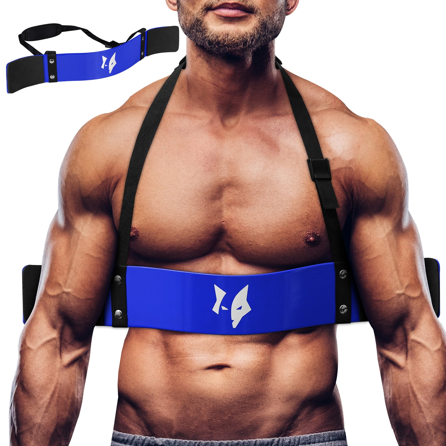 PFX Sports Arm Blaster for Biceps & Triceps