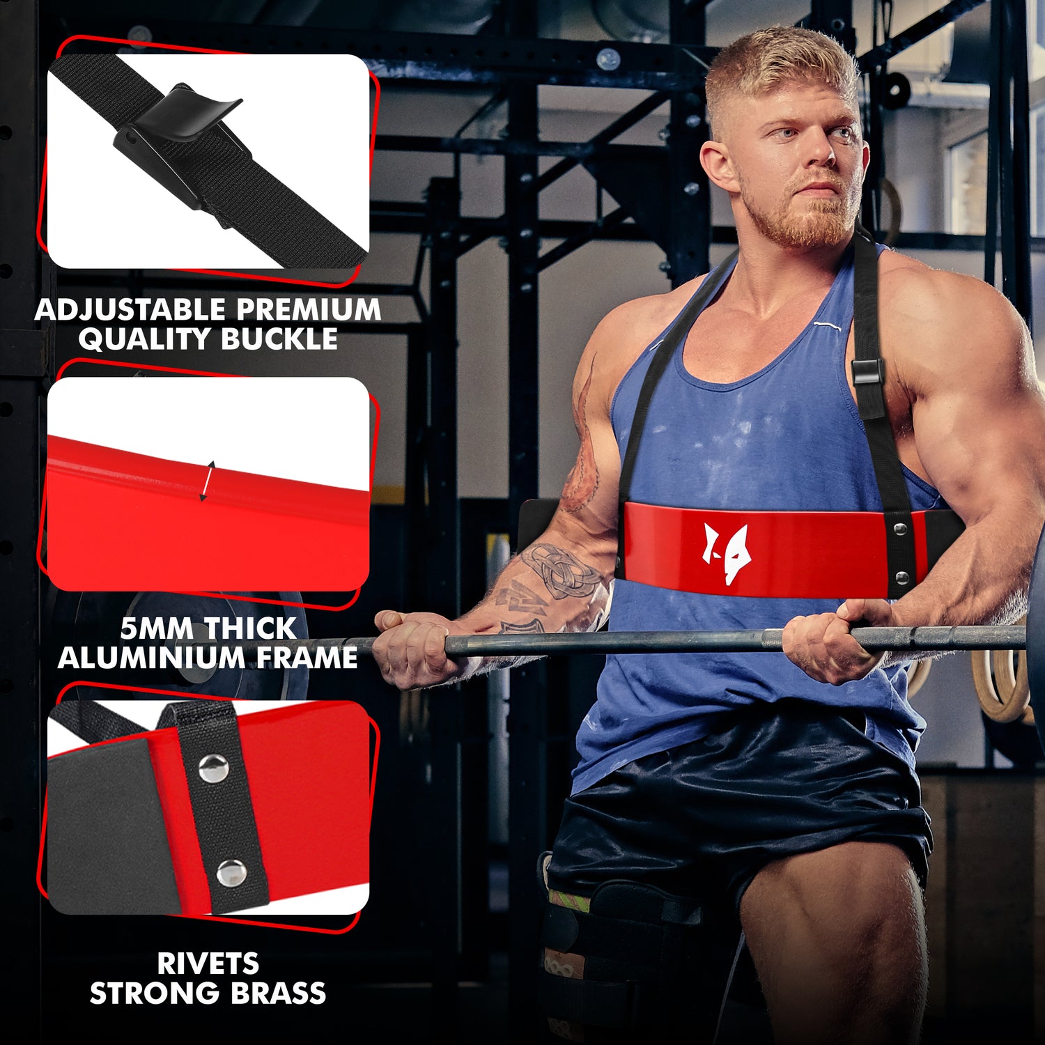 PFX Sports Arm Blaster for Biceps & Triceps