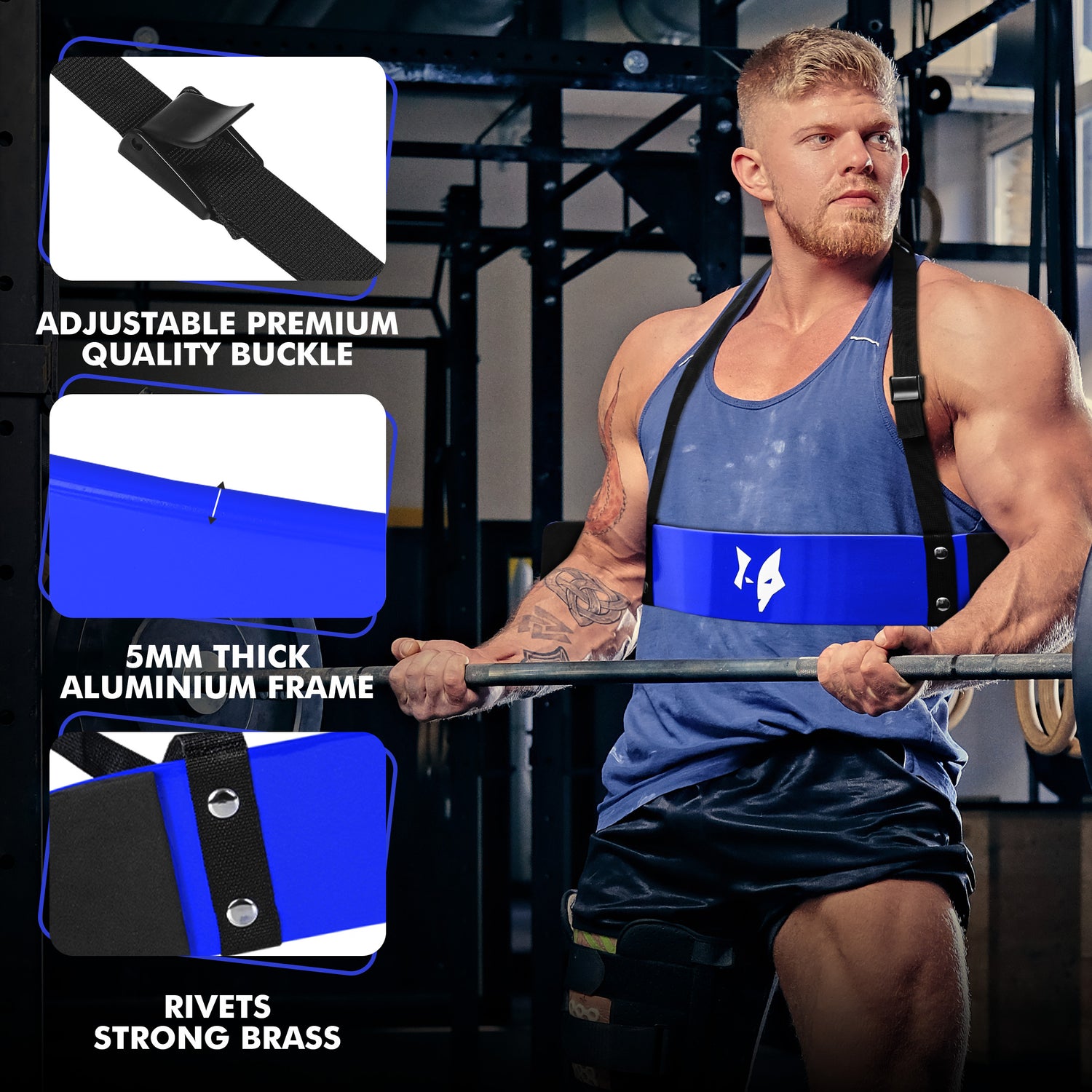 PFX Sports Arm Blaster for Biceps & Triceps