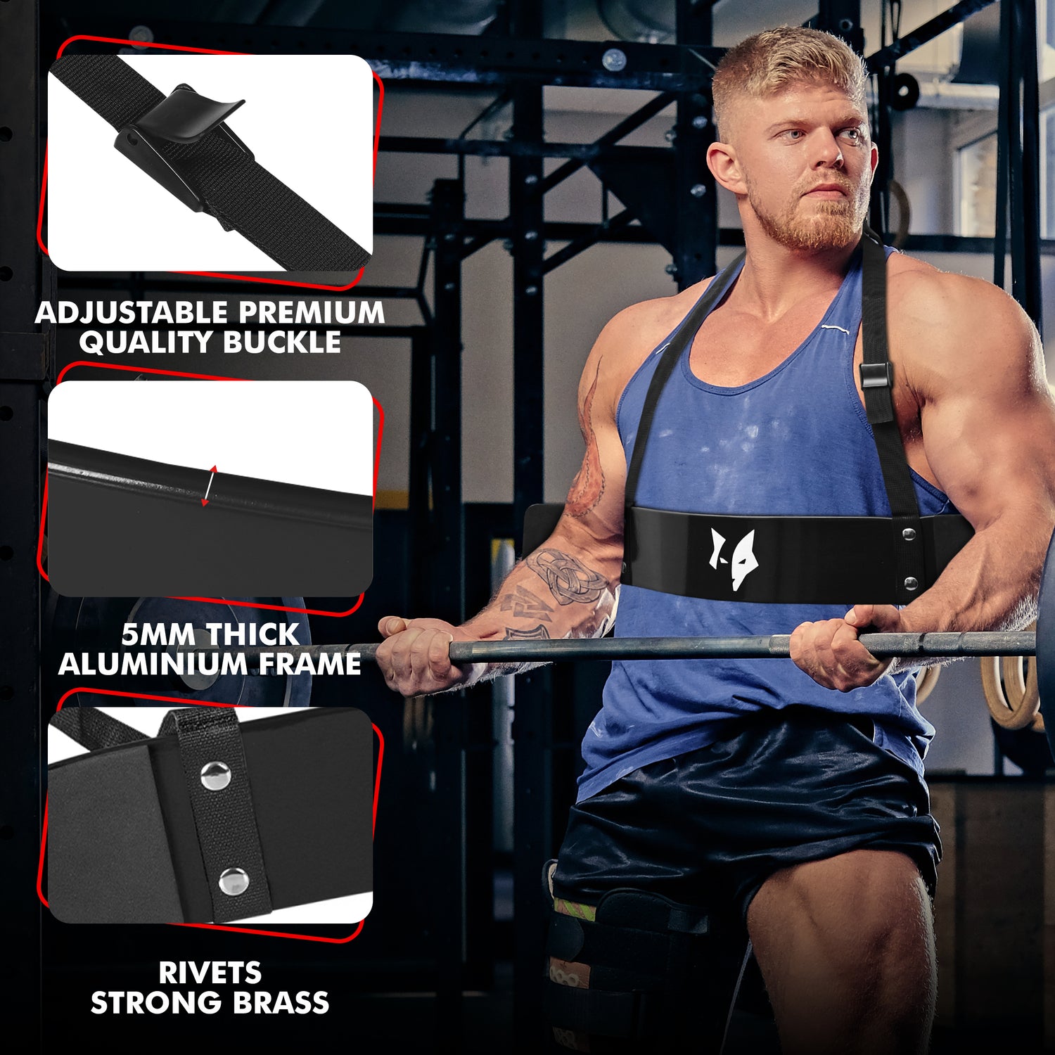 PFX Sports Arm Blaster for Biceps & Triceps