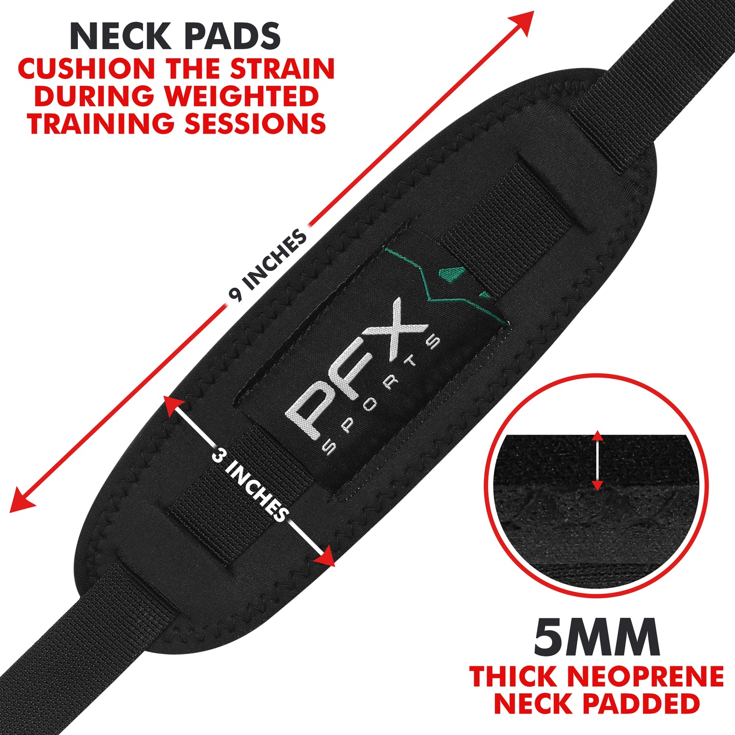 PFX Sports Arm Blaster for Biceps & Triceps