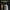 PFX Golden Series MMA & Muay Thai Shin Guards – Elite Protection