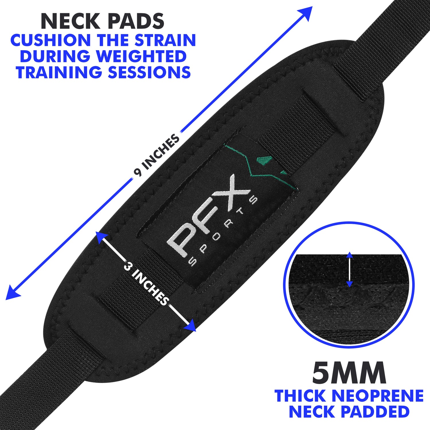PFX Sports Arm Blaster for Biceps & Triceps