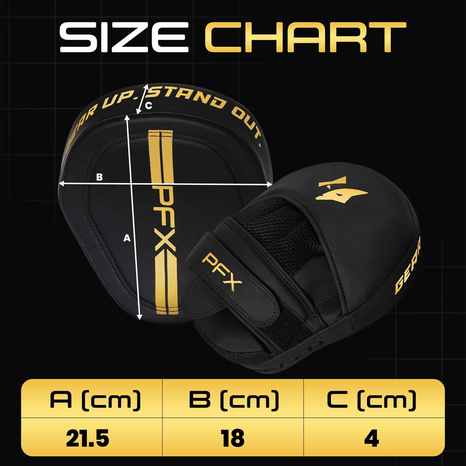 PFX Sports Boxing Training Kit (Special Offer)