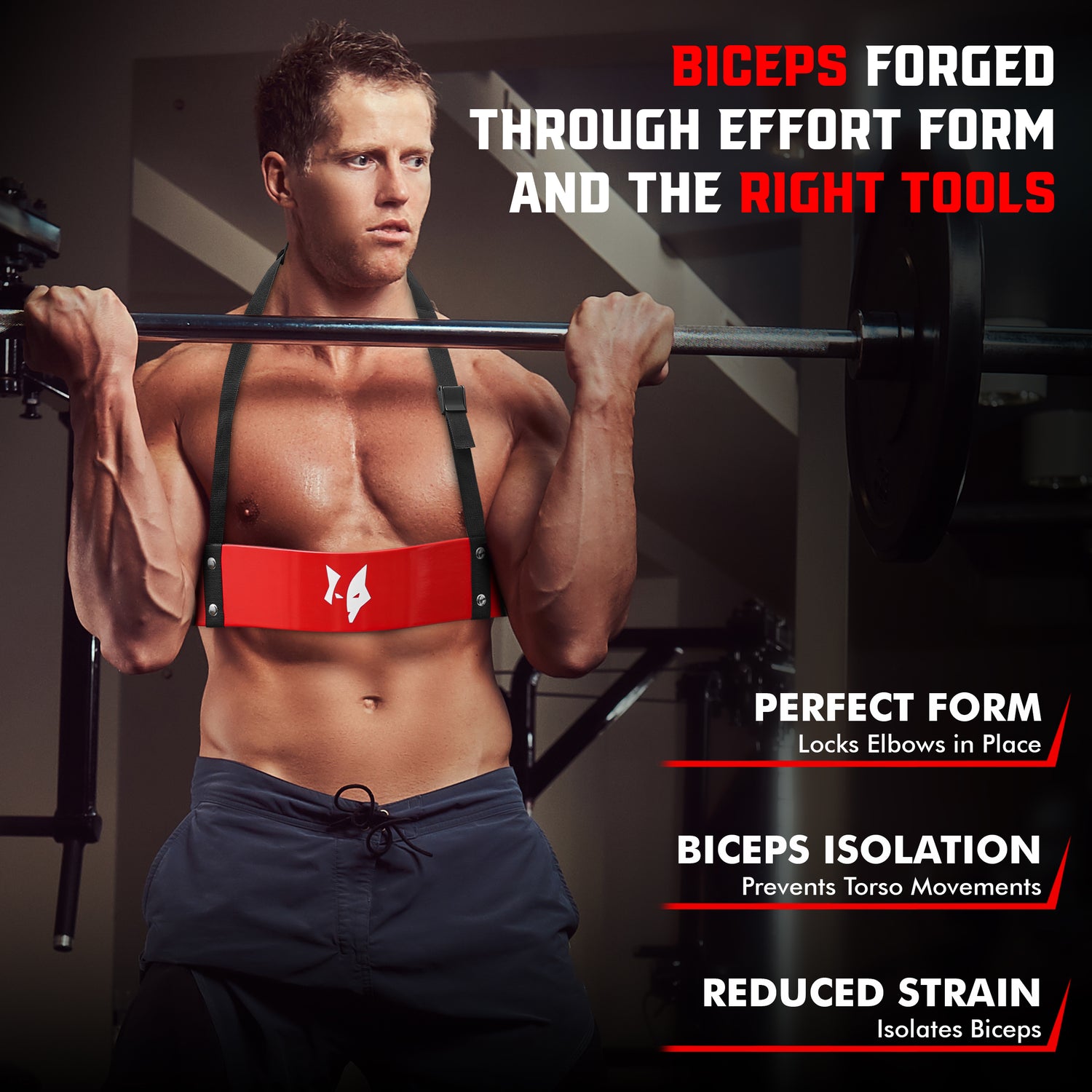 PFX Sports Arm Blaster for Biceps & Triceps