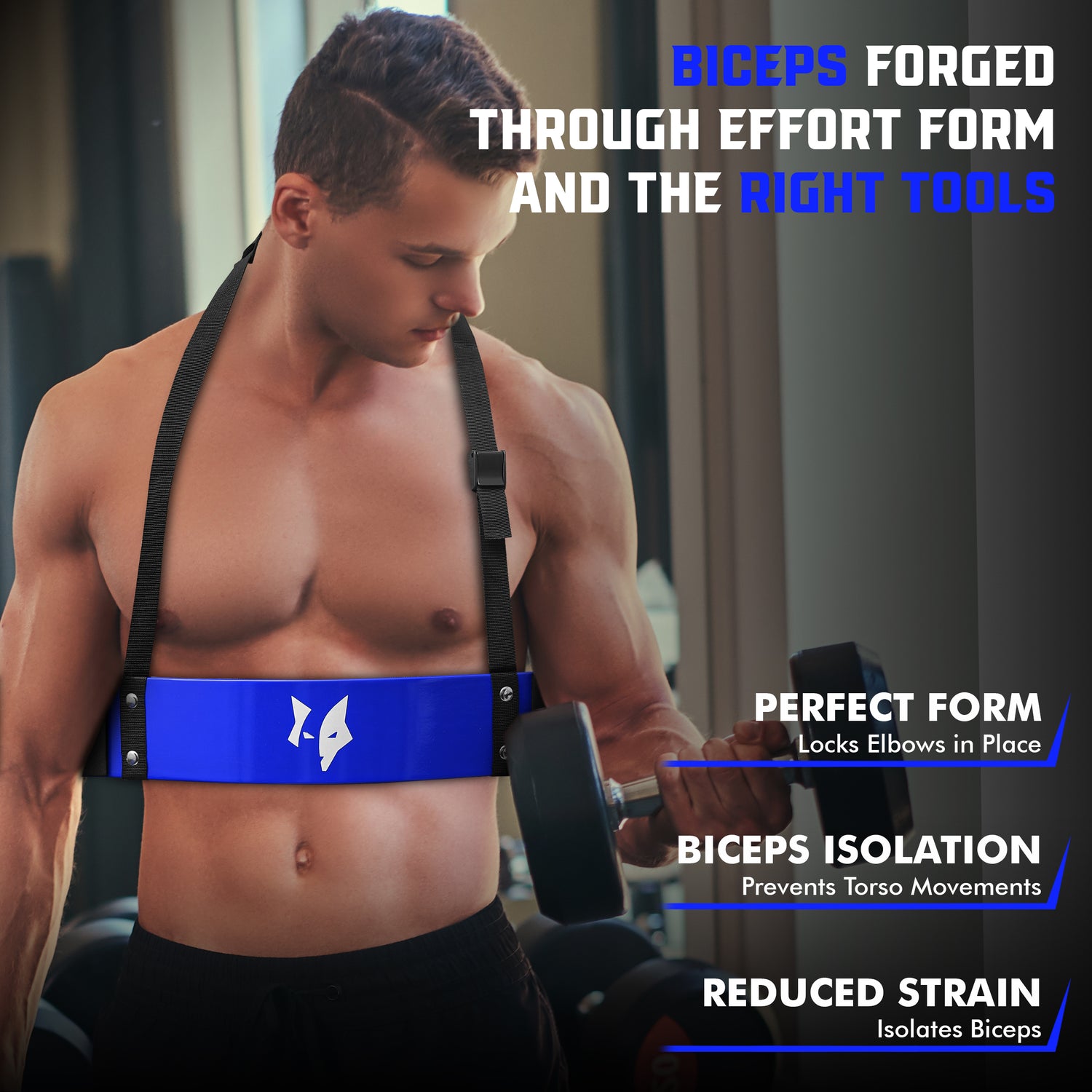 PFX Sports Arm Blaster for Biceps & Triceps