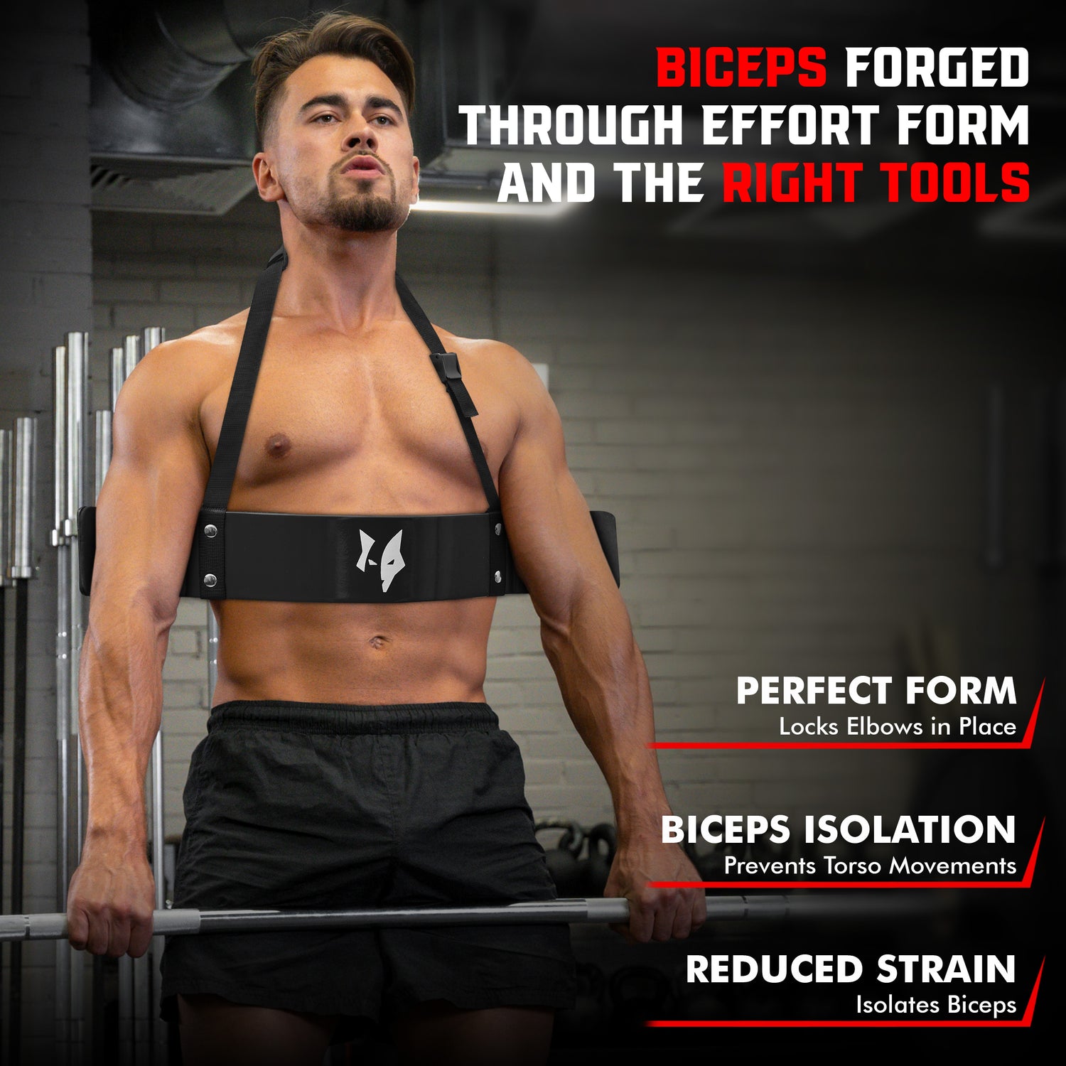 PFX Sports Arm Blaster for Biceps & Triceps