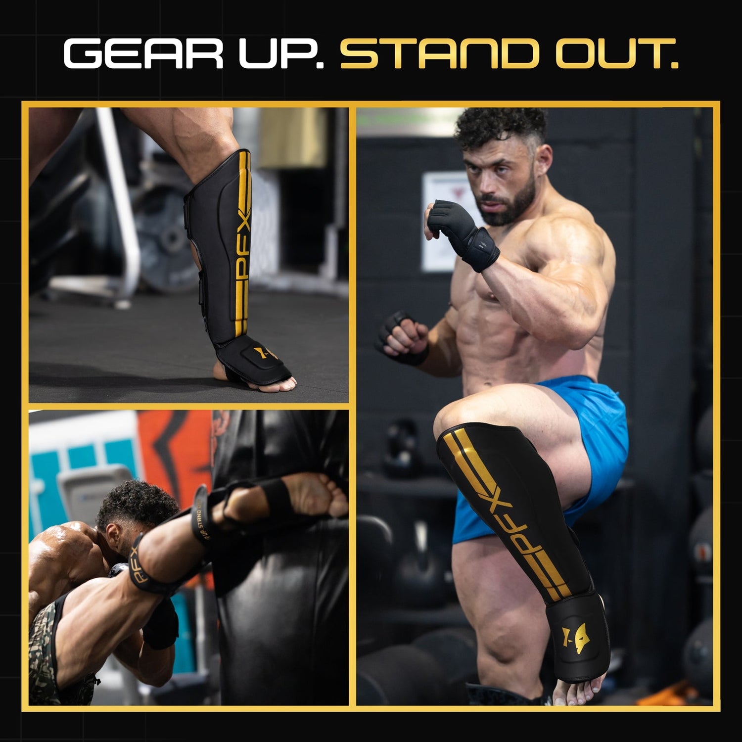 PFX Golden Series: Elite MMA & Training Bundle