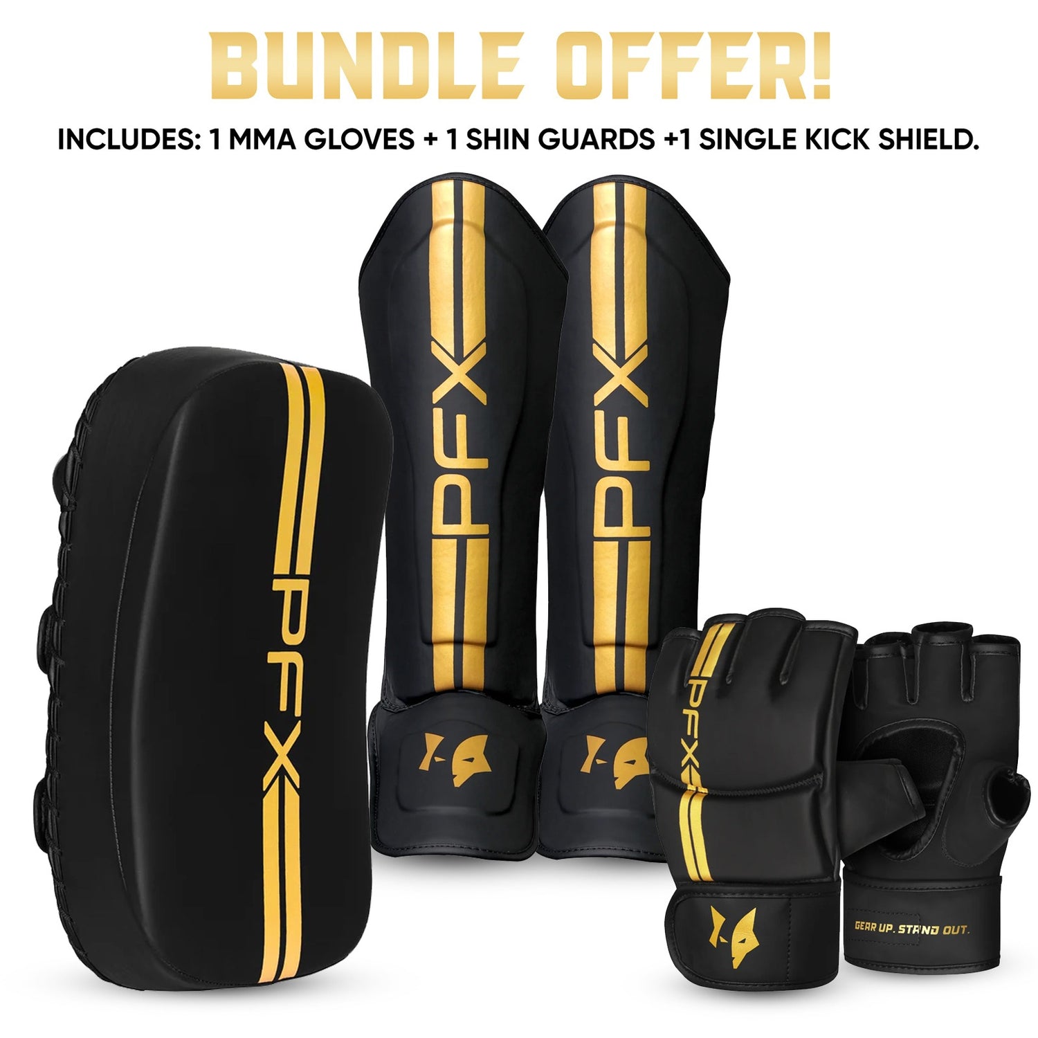 PFX Sports Golden Series Combat Training Kit