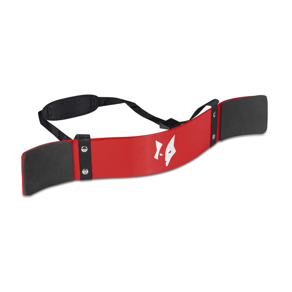 PFX Sports Arm Blaster for Biceps & Triceps (Red)