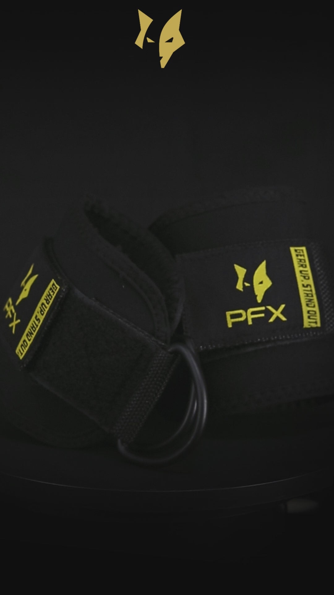 PFX Pro-Series Cable Ankle Straps (Pair)