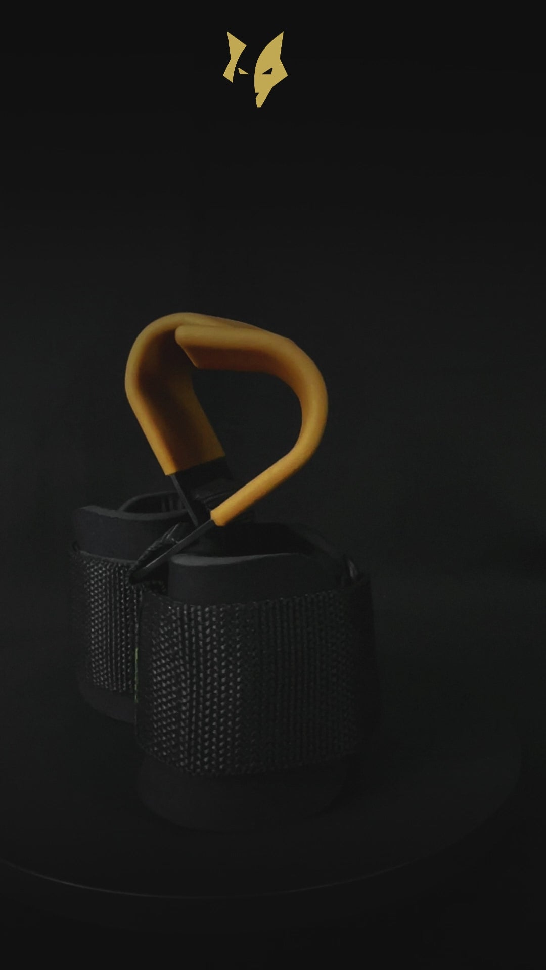 PFX Golden Series Pro Lifting Hooks – Heavy-Duty Grip Support