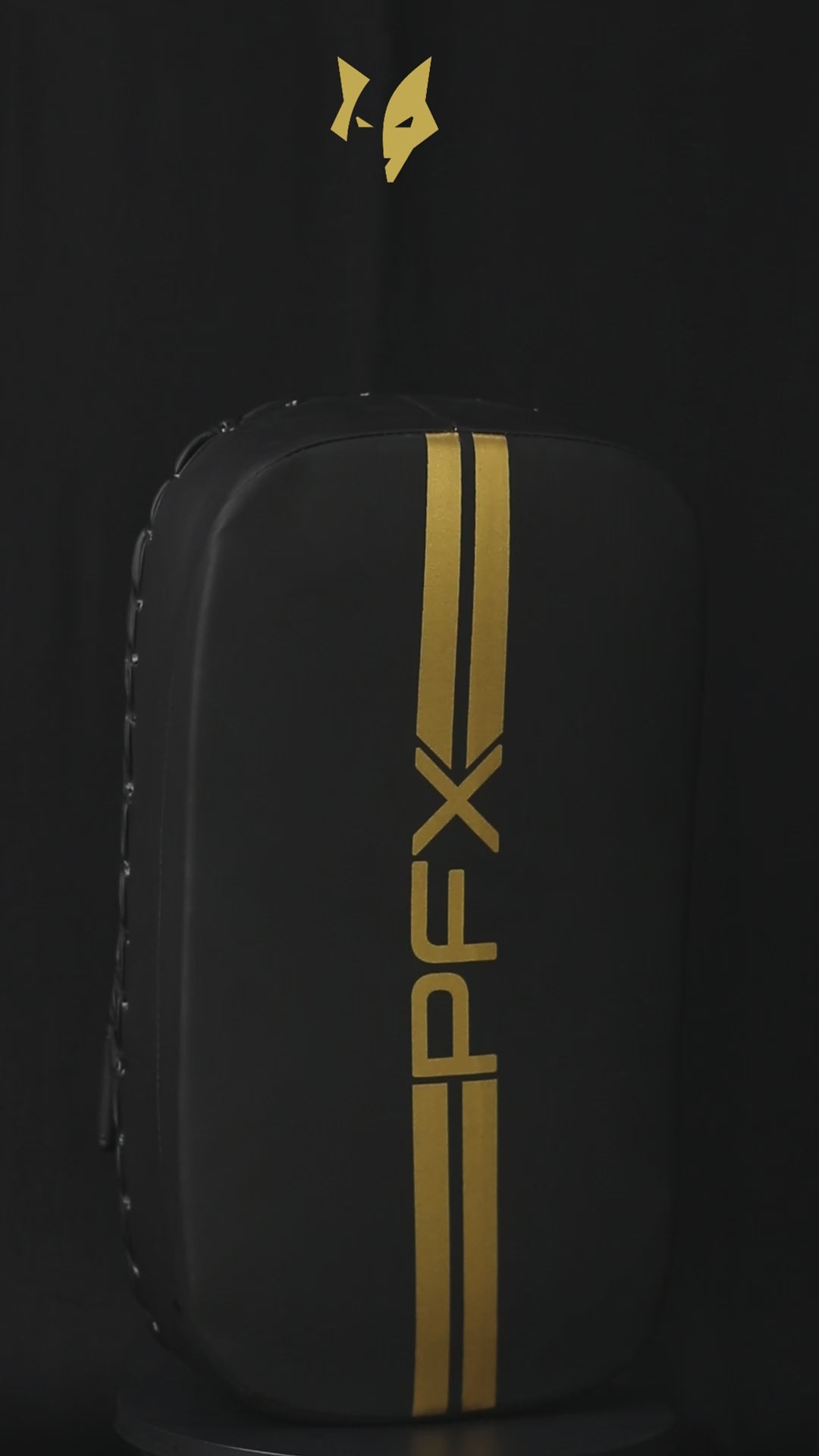 PFX Golden Series Curved Kick Shield – Pro-Series Strike Pad