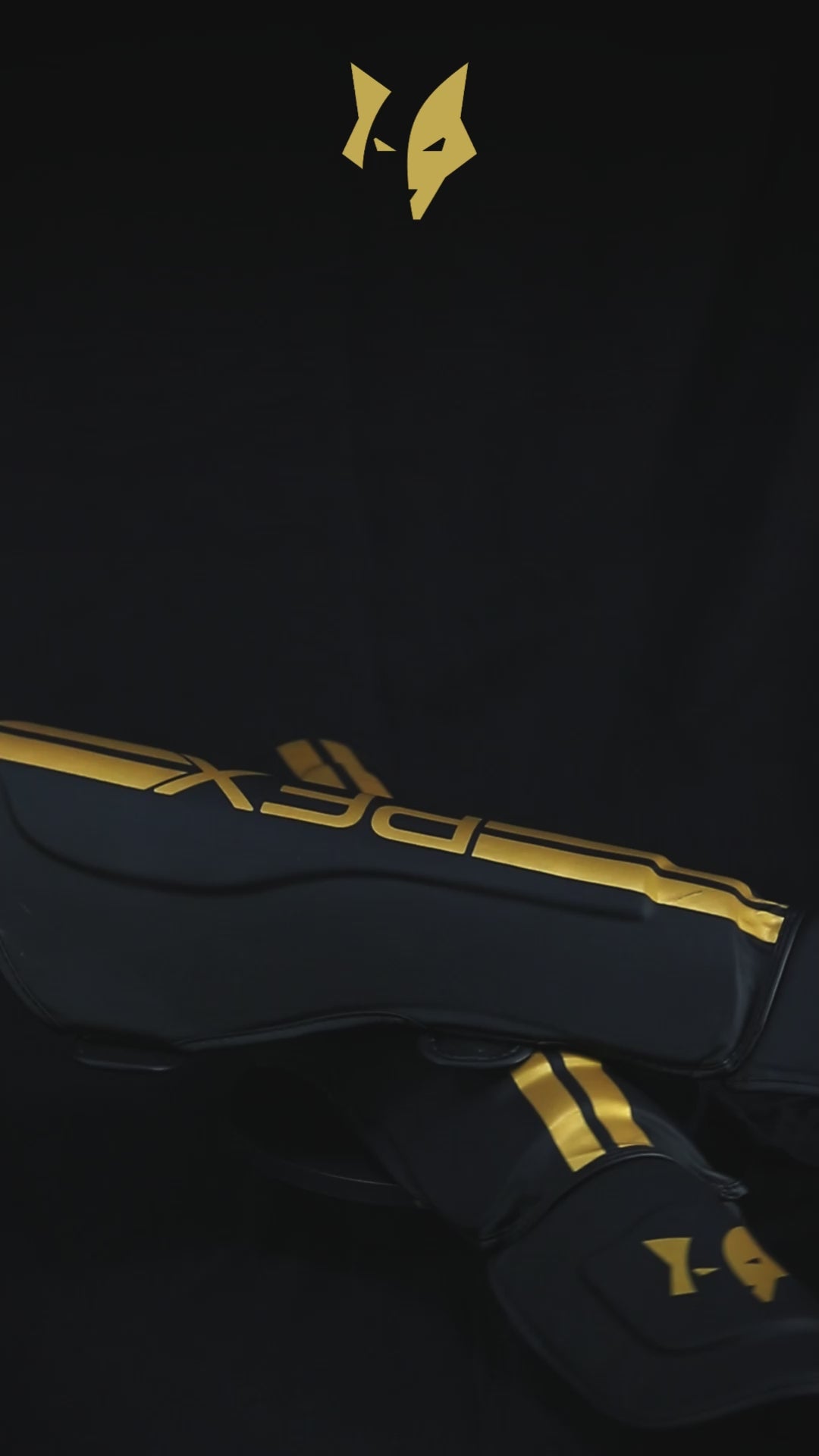 PFX Golden Series MMA & Muay Thai Shin Guards – Elite Protection