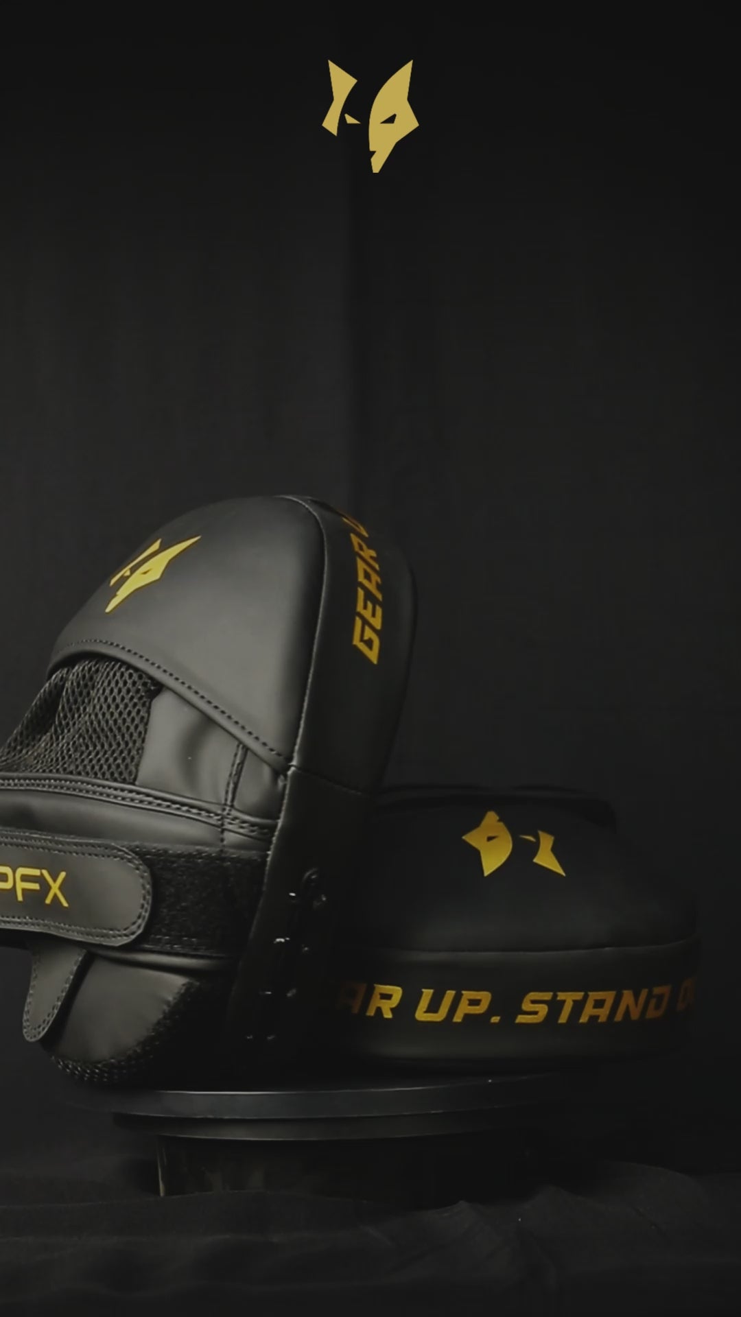PFX Golden Series Focus Mitts– Professional Coaching Mitts (Pair)